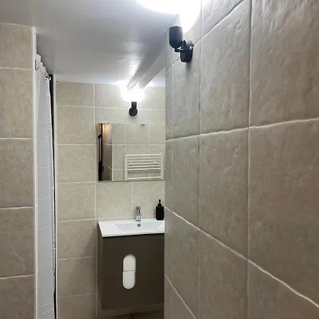 Le Duplex Du Centre 아파트 *